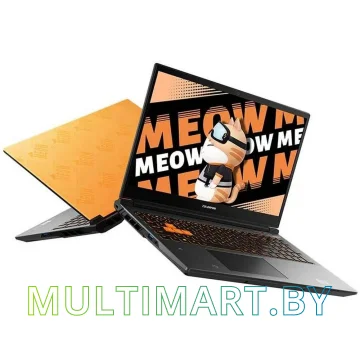 Игровой ноутбук Colorful MEOW R15 (A10305000025) картинка 3